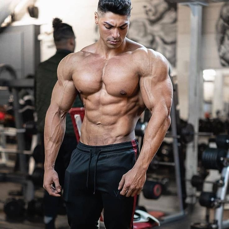 Bodybuilding: Sculpting Strength and Aesthetic