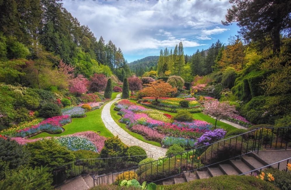 Exploring the Enchantment of Butchart Gardens